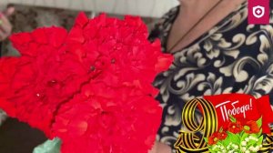 Сотрудники «скорой» поздравили ветеранов с Днём Победы