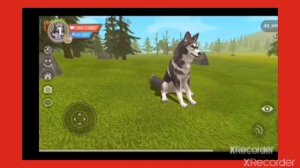 wild craft баг как стать гигантом😏)