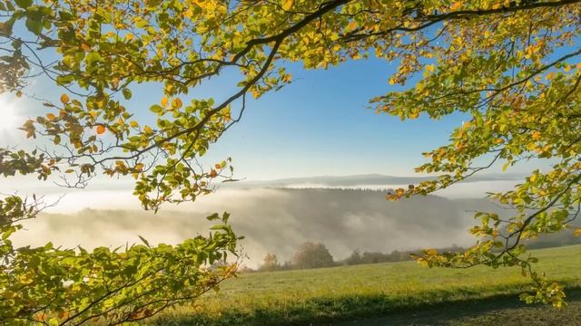 Мама уехала Вот тебе письмо написала - дочь подруги протянула Саше письмо. Когда женщина его открыл смотреть онлайн