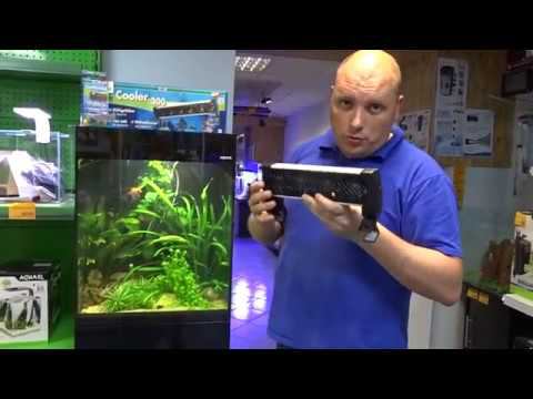 Как охладить аквариум летом? смотреть онлайн