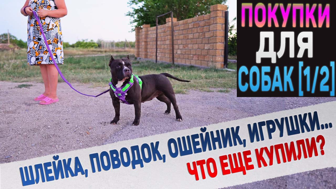 Питомник Собак