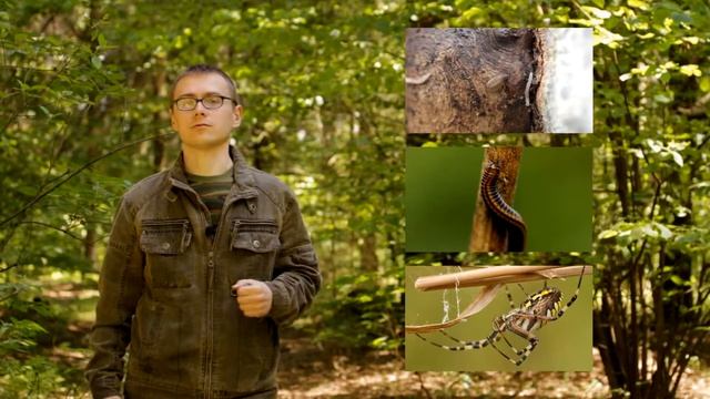 Трейлер канала 