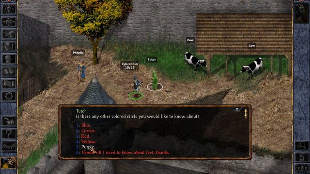 Gorion's Ward - Let's Play Baldur's Gate: Enhanced Edition (Core Rules) #1 смотреть онлайн