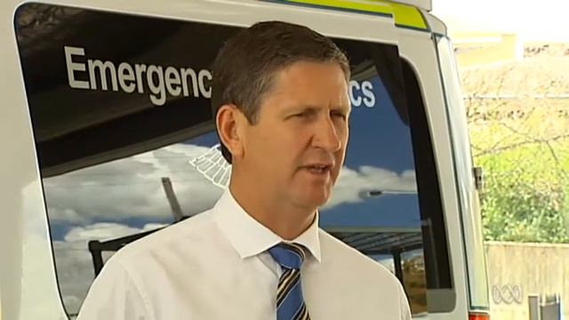 Springborg claims caretaker convention for LNP to remain in government смотреть онлайн