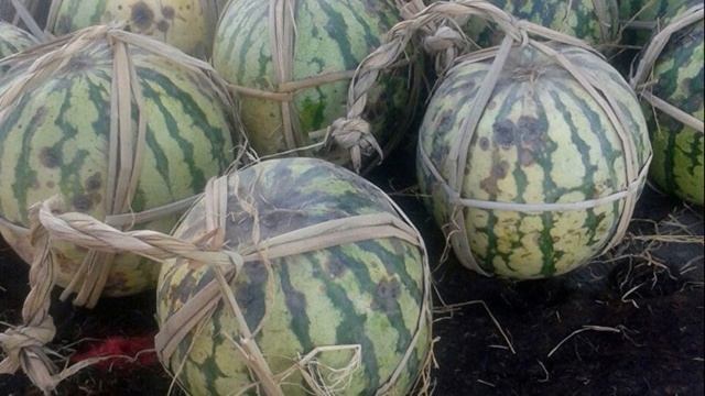 Как сохранить арбуз свежим до Нового года смотреть онлайн