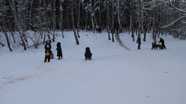 На снежной горке. 05.01.2010 смотреть онлайн