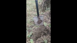 Тестирование лопат №1 траншейная Truper, телескопическая Fiskars, титановая от Александра (kurkino)