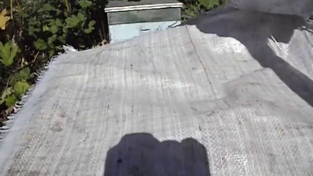 как можно обновлять гнездовые рамки в семье пчел смотреть онлайн