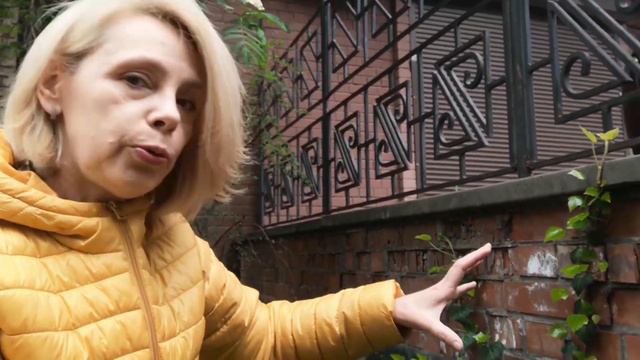 ЯК ПЕРЕЗИМУВАВ ПЛЮЩ? смотреть онлайн