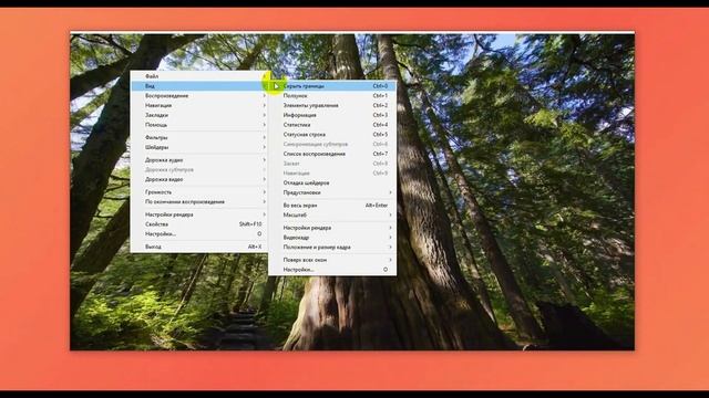Работа с программой Media Player Classic смотреть онлайн