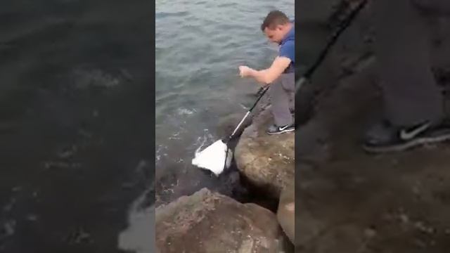 Рыбалка в Испании Валенсия с берега скат 10 кг смотреть онлайн