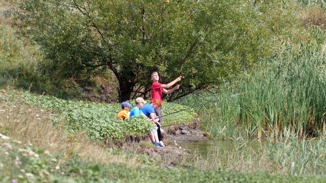Angeln in Moldova/Рыбалка в Молдове / Fishing in Moldova /Pesca en Moldavia / смотреть онлайн