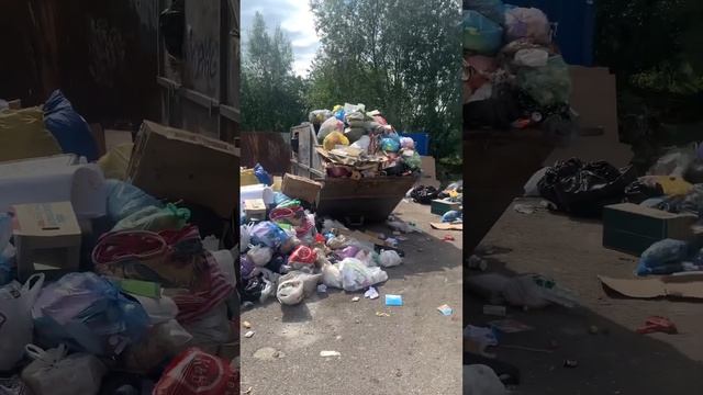 Это просто ужас! Мусорный коллапс в Калининграде!!! смотреть онлайн