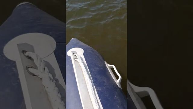 Качество лодки Солар 450 после двух лет. смотреть онлайн