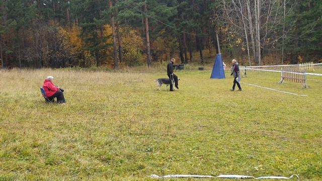 СЕДОЙ УРАЛ ЮЛИЙ ЦЕЗАРЬ ПРК+ Рядовость МОНО Екб 6.10.2019