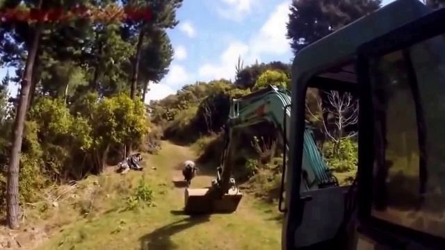 баран кидается на экскаватор смотреть онлайн