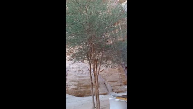 Al-Ula, Shalal Cafe, Saudi Arabia смотреть онлайн