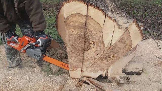 HUSQVARNA 562 XP& 365 SPECIAL, 60 cm-es GB vezetővel! смотреть онлайн