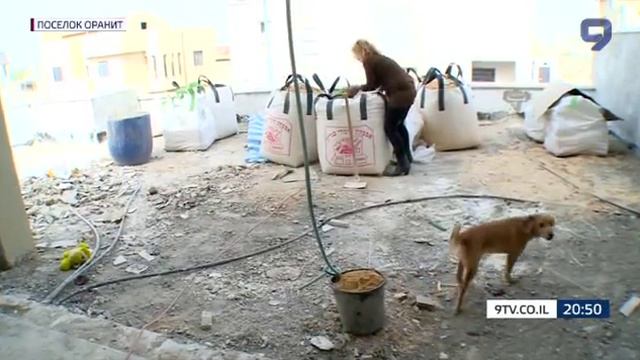 В Израиле женщины получают все больше смотреть онлайн
