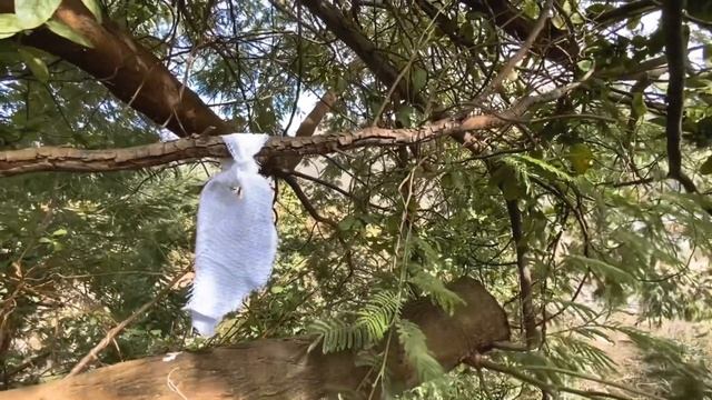 Переклад порчи,сглаза,болезней,безденежья ,одиночества / Снятие порчи и любого негатива / Авторский смотреть онлайн