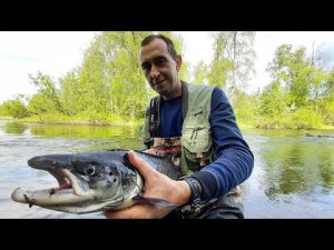 ЛУЧШАЯ БЛЕСНА на СЕМГУ. Рыбалка на Кольском полуострове. Терский берег. 4 серия.