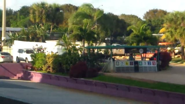 🐶 🐰 Greyhound Racing at Mardi Gras Casino 🐶 🐰 11/03/17 🐶 🐰 Hallandale Beach, Fl🐶 🐰 смотреть онлайн