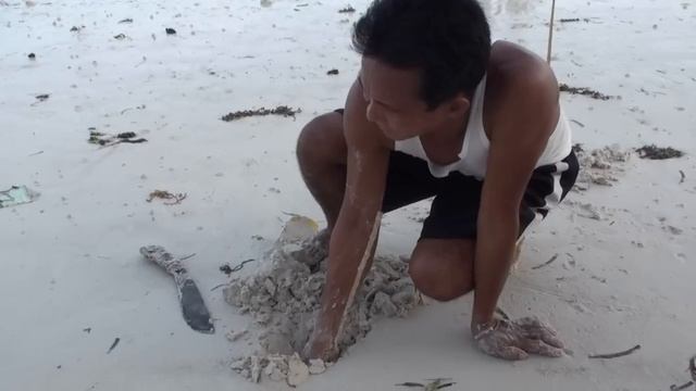 Sandworm @ Alona, Panglao HD смотреть онлайн