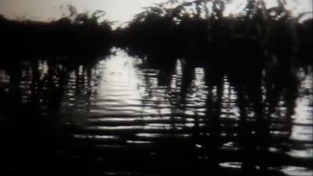 Воздух в природе Школа Фильм смотреть онлайн