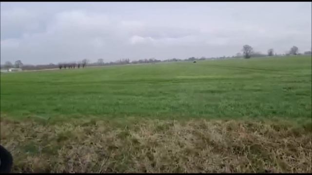 Как живет простой народ!Север Германии!Весна 2023год смотреть онлайн