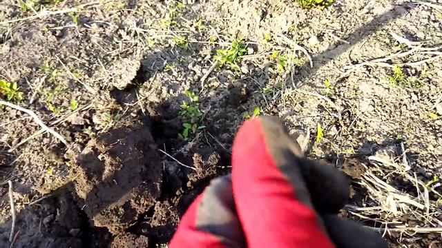 Хроники копа 29.04.2022, Переяслав Хмельницкий, часть 4. смотреть онлайн