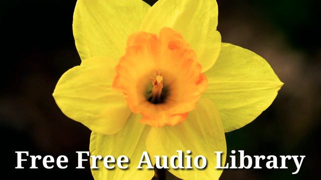 Fortress Europe - Dan Bodan // Free Free Audio Library. смотреть онлайн