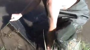 Ловля угря.Способ второй