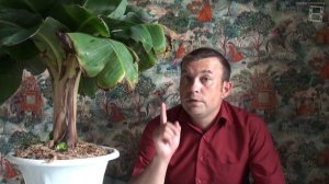 БАНАН УХОД И ОШИБКИ ПРИ ВЫРАЩИВАНИИ. ЭКЗОТИКА НА ПОДОКОННИКЕ.