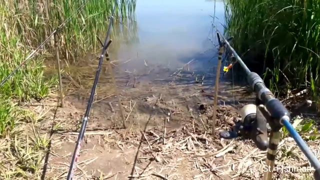 ВСТРЕЧА со ЗМЕЁЙ! думал НИЧЕГО не поймаю НО ПОЙМАЛ!!! ХОРОШИЙ день!!! смотреть онлайн