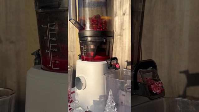 Pomegranate, cherry, ginger and orange wellness shots смотреть онлайн