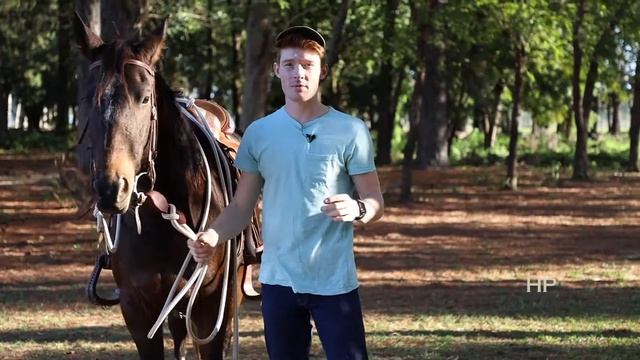 How To Bridle and Unbridle Any Horse! The Easiest Way! смотреть онлайн