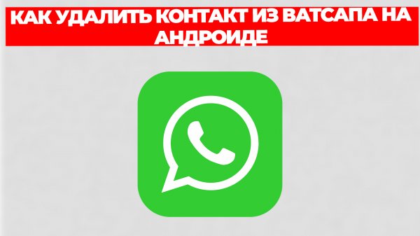 КАК УДАЛИТЬ КОНТАКТ ИЗ ВАТСАПА НА АНДРОИДЕ