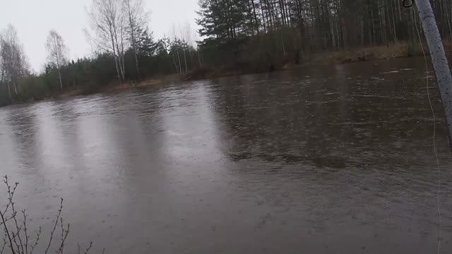 Вечерний клев чебака на поплавочную удочку. смотреть онлайн
