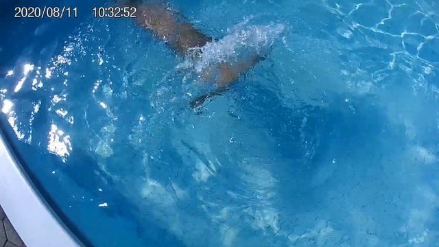 Swimming in my first H2O tail! смотреть онлайн