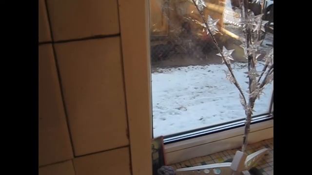 А у нас улов! Бычки. Жареные огурцы и винегрет