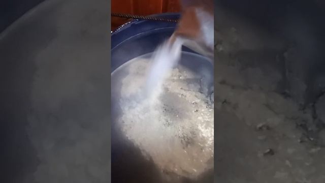 VID_20240203_154953_614.mp4