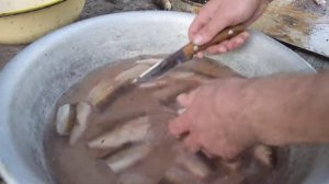Подготовка рыбы к приготовлению котлет. Плотва-сорога.