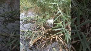 Пруд Октябрьский