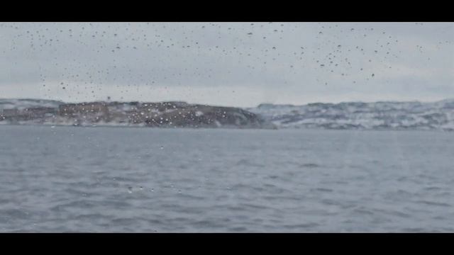 рыбалка на Баренцевом море 2024