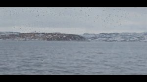 рыбалка на Баренцевом море 2024