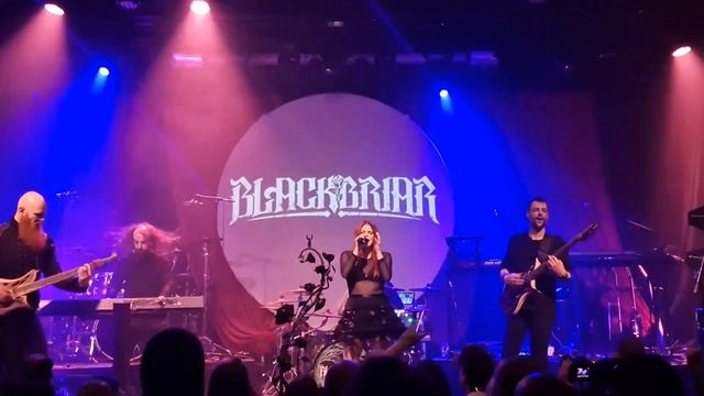 Black Briar Weert Bosuil 1-4-2023 3