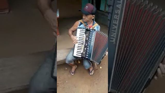 Iomar do Acordeon é sucesso garantido direto de Porto Franco Ma. смотреть онлайн