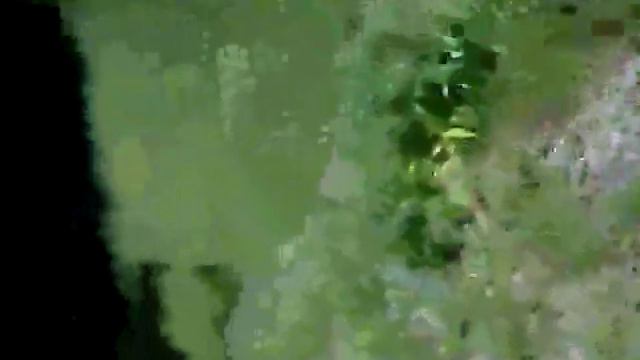 Какамахи смотреть онлайн