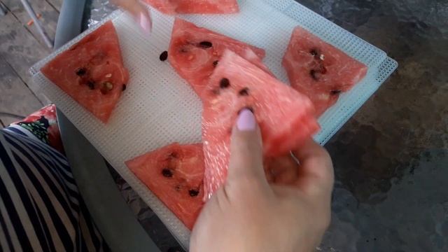 Чипсы из арбуза и дыни смотреть онлайн
