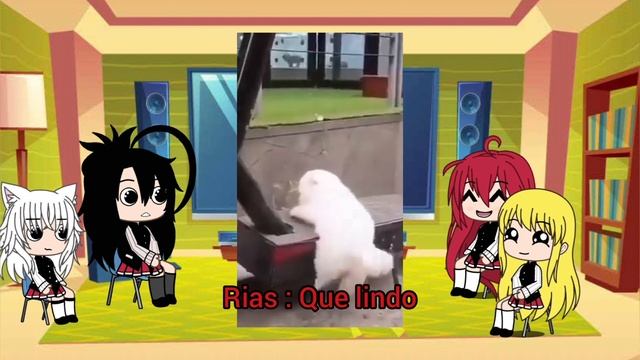 High school dxd reaccionan a tik toks смотреть онлайн